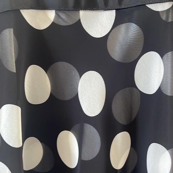 #110 Sheer Polka Dot Dress - Picture 3 of 4